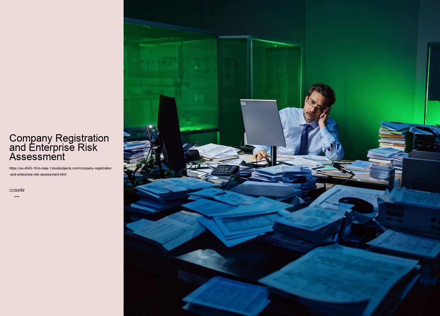 Company Registration and Enterprise Risk Assessment